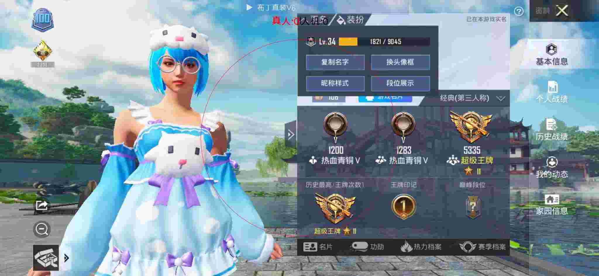 和平精英布丁直装透视预览图